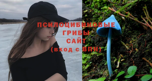 мяу мяу мука Магадан