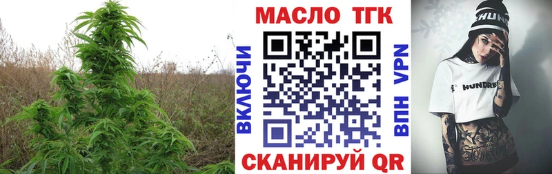 ТГК концентрат  Купить где  Каргат 