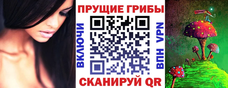 Купить Каргат Галлюциногенные грибы мицелий